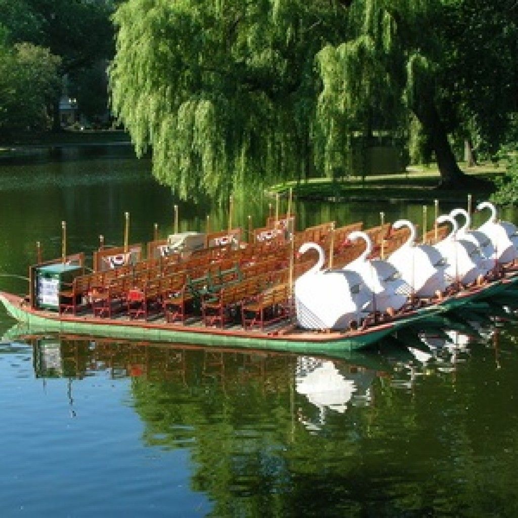 Boston intelligence overview