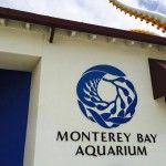San Francisco Monterrey Bay Aquarium