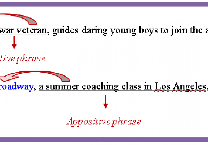 Appositive Phrase And Relative Clause Worksheet