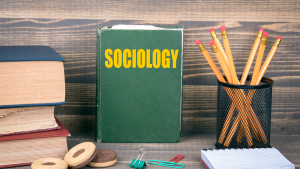 Enhance Your Career with the Sociology Professional Development Program in 2025